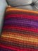 Global Pathways Cushion