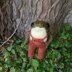 Froggy's Overalls (Tapered)