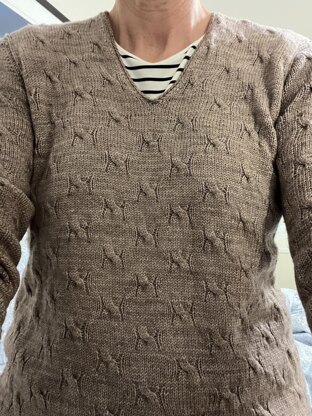 Women’s cabled jumper