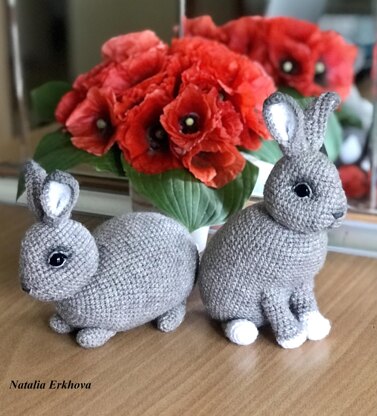 Two rabbits