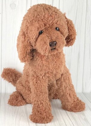 Red Poodle dog