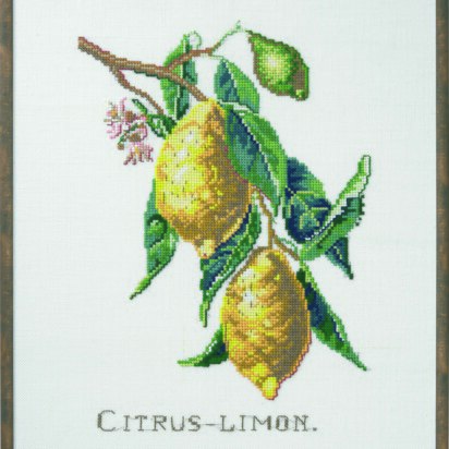 Permin Citrus-Lemon Cross Stitch Kit - 29 x 39 cm