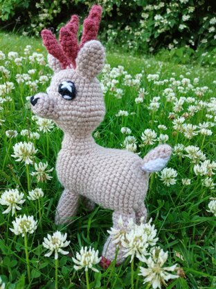 Meet Clover the Deer