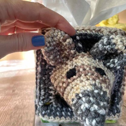 Armadillo Tissue Box Cover