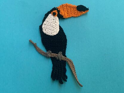 Toucan