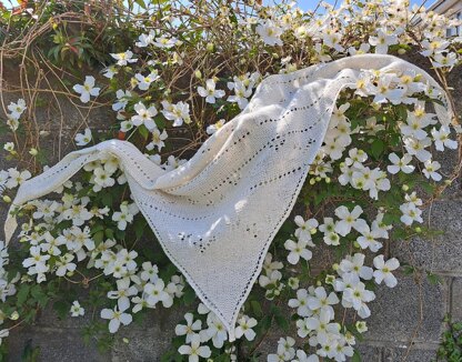 Little Seagull Shawl