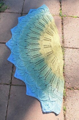 Rare Bird Shawl