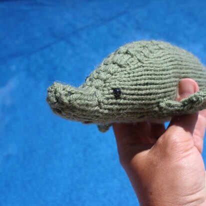 Beluga Sturgeon - knitting pattern