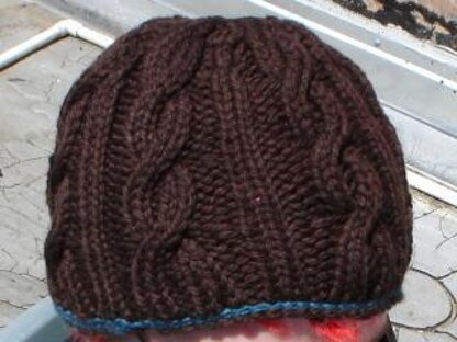 Snaky Cables Hat