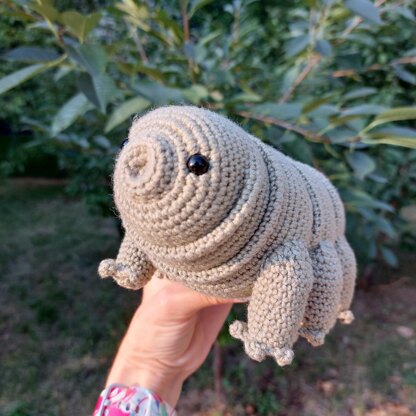 Tardigrade or Water Bear