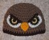 Hawk/Falcon Hat