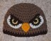 Hawk/Falcon Hat