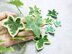 Variegated ivy leaves