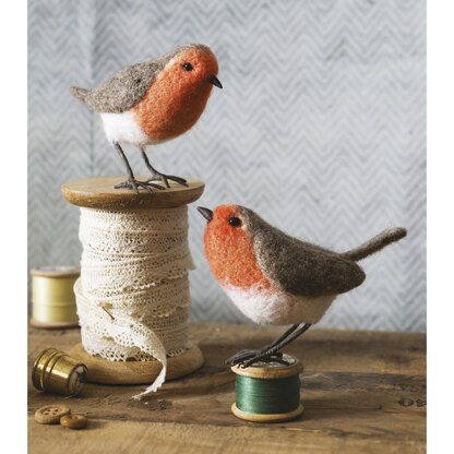 Needle Felting for Beginners by Roz Dace & Judy Balchin