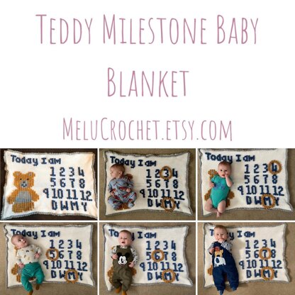 Teddy Milestone Blanket