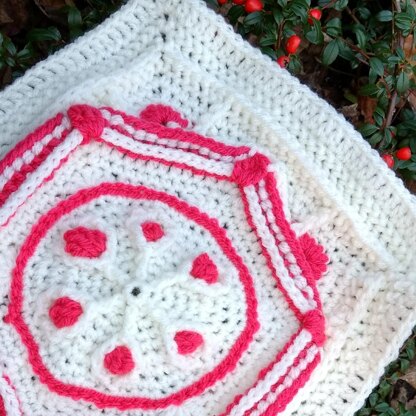 Ruby Hexagon Granny Granny