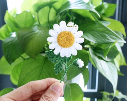 Daisy branch