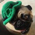 St. Patrick's Day Dog Hat
