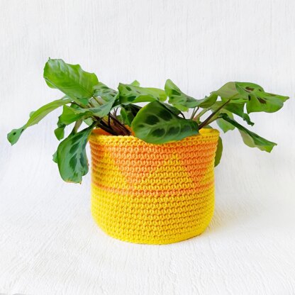 Plant Pot Covers Fall