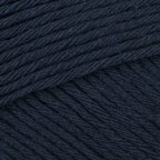 Navy Night (671)