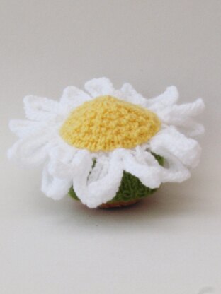 Daisy Chocolate Orange Cosy