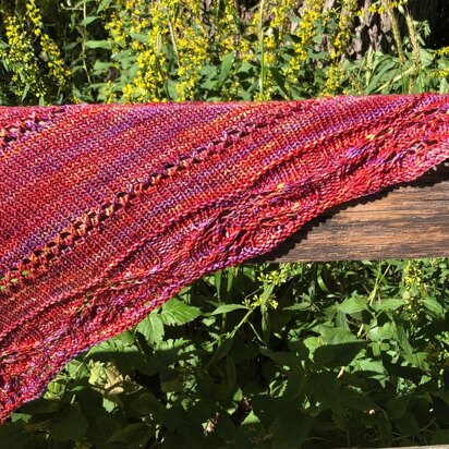 Autumn's Edge Shawl