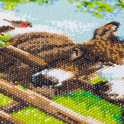 Crystal Art Farmyard Family, 40x50cm Diamond Painting Kit