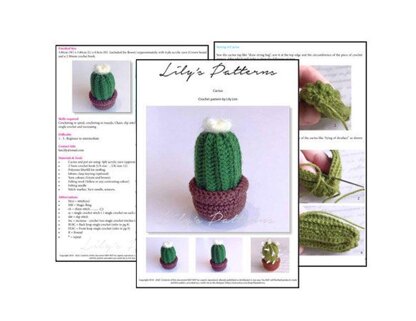 Cactus in a pot crochet , Cactus Amigurumi,