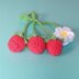 Raspberry Car Hanging Crochet