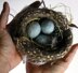 Felted Woolly Nest & Eggs