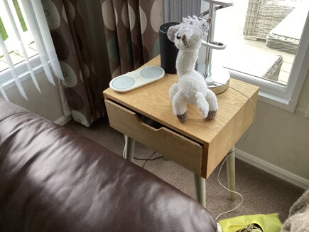 Larry the Alpaca #3
