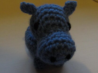Henry the small Hippo