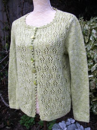 Cardigan with Alternating Lacy Medallions