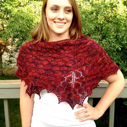 Stormborn Shawl