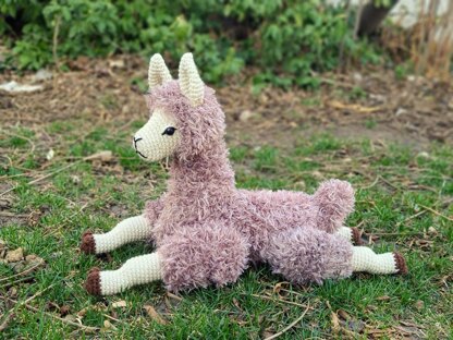 Lounging Llama