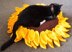 Sunflower Pet Bed