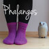 Sock Anatomy by Clare Devine