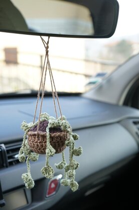 Hanging Plant with Flowers