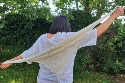 Little Seagull Shawl