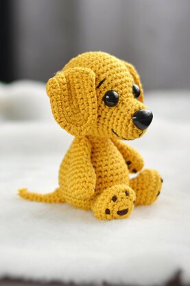 Dog Labrador or Golden Retriever