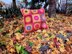 Fall in Love Cushion