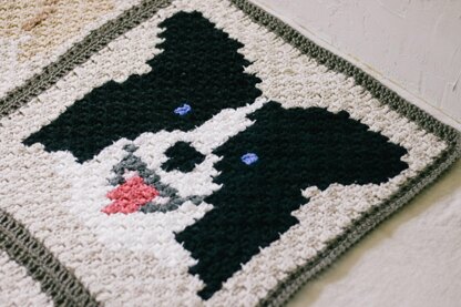 C2C Border Collie / Australian Shepard Dog Blanket Square