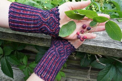 The Naturalist's Mitts