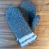 Felted Mittens