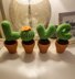 Love Cacti