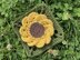 Sunflower Granny Square