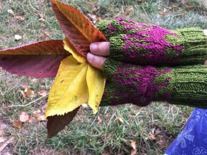 October Rose Mitts