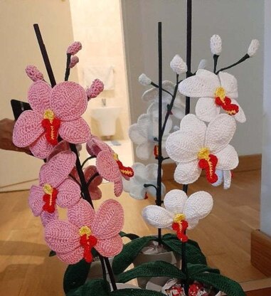 Crochet Moth Orchid