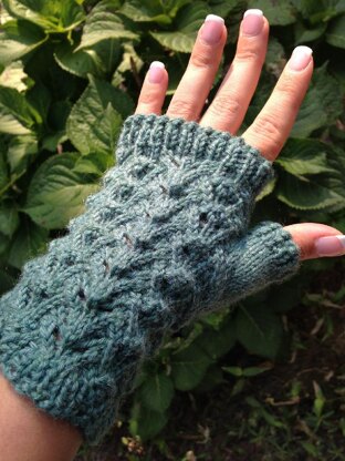 Reptile mitts