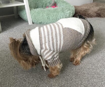 Oatmeal Sweater with Kangaroo Pocket for Dogs